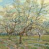 White Orchid - Vincent van Gogh  van Marieke de Koning