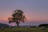 Hay rolls - hay bales by Moetwil en van Dijk - Fotografie thumbnail