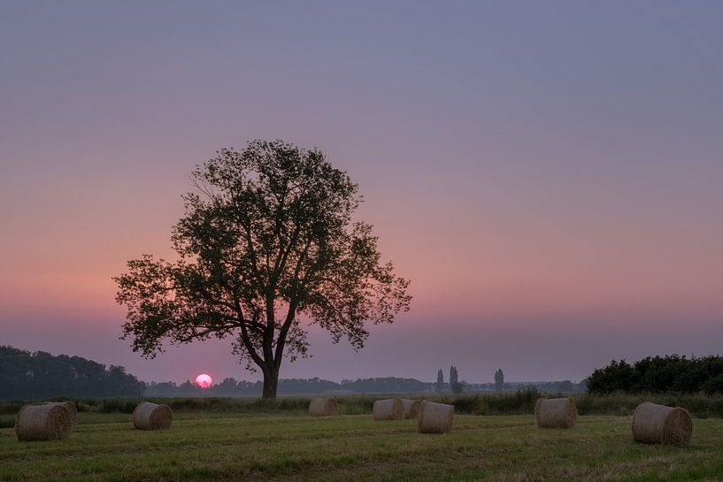 Hay rolls - hay bales by Moetwil en van Dijk - Fotografie