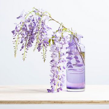 Glycine dans un vase en verre sur Ingrid Ravenhorst