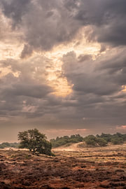 Die Verheißung des Regens von Moetwil en van Dijk - Fotografie landschappen - natuur