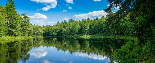 See mit Wald und blauem Himmel mit weißen Wolken
