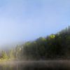 Borealer Wald von Renald Bourque