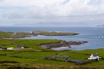 Beara Peninsula by Eddo Kloosterman