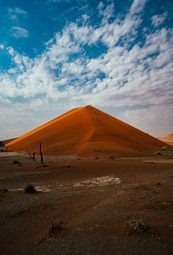 Duin in Sossusvlei in Namibië, Afrika van Patrick Groß