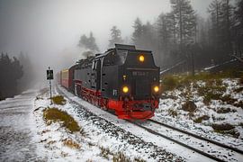 Die Brockenbahn am Goetheweg von t.ART