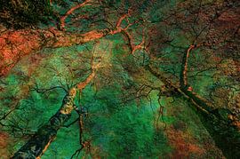 Baumwipfel abstrakt von Dieter Walther