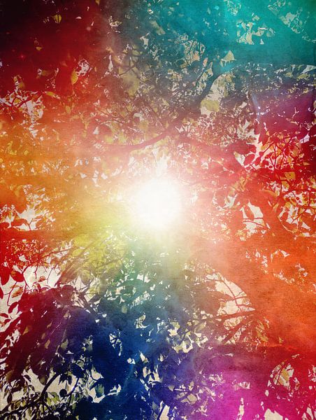 Sunshine by Angelo Cerantola