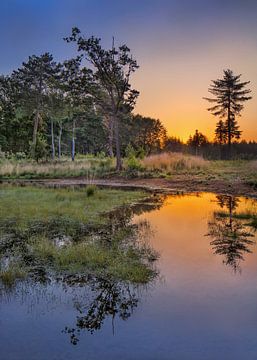 Rustige wetland bij zonsopgang met oranje hemel van Tony Vingerhoets