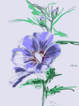 Hibiscus Lila