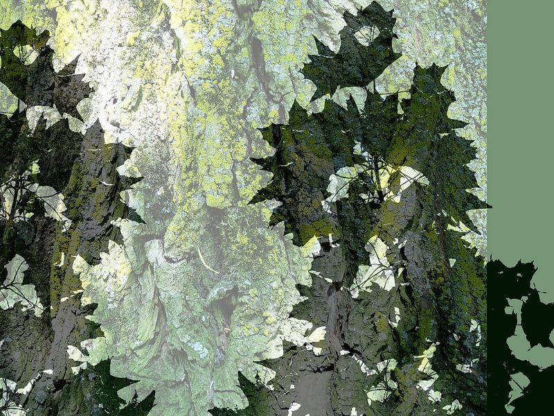 Tree Magic 60 von MoArt (Maurice Heuts)