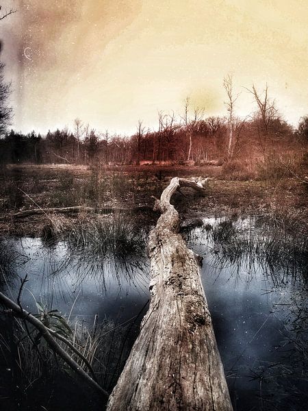Overflow by Novygrafie