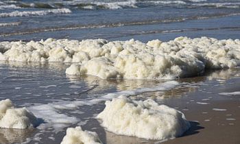 Noordzeestrand met zeeschuim.