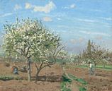 Orchard in Bloom, Louveciennes, Camille Pissarro by Masterful Masters thumbnail