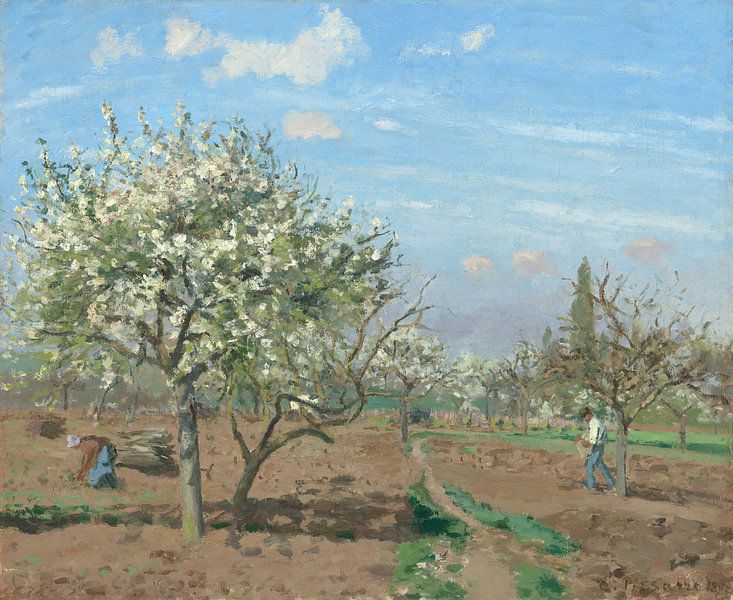 Orchard in Bloom, Louveciennes, Camille Pissarro by Masterful Masters