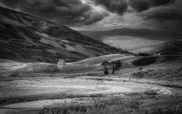 Highlands écossais - Parc national des Cairngorms sur Mart Houtman