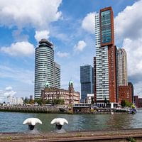 Rotterdam