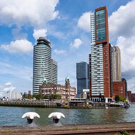 Rotterdam by Herman Coumans
