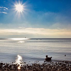 Bodensee von aRi F. Huber