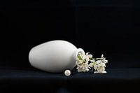 Stillleben mit Perle und weißer Blume