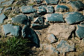 Die Kopfsteinpflaster des Carrefour de L'Arbre
