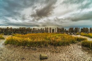 Moddergat sur Peter Bijsterveld