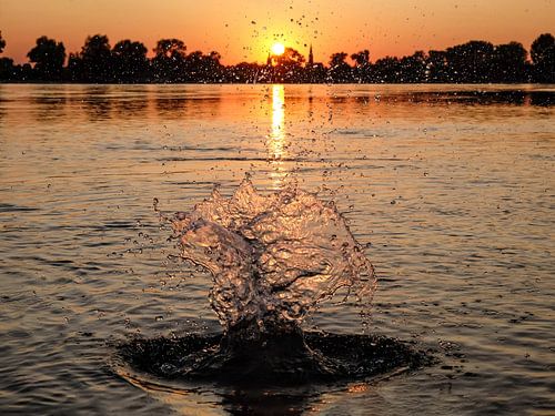 Sonnenuntergang am Rhein nahe Zons von mocka63
