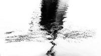 Reflection