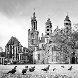 Streets of Maastricht profielfoto