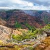 Waimea Canyon, Grand Canyon des Pazifiks, Hawaii von Rietje Bulthuis