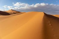 Beautiful sand dunes in the Sahara desert, Morocco, Africa by Tjeerd Kruse thumbnail