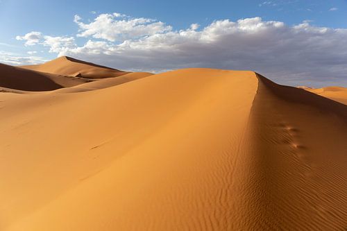 Beautiful sand dunes in the Sahara desert, Morocco, Africa