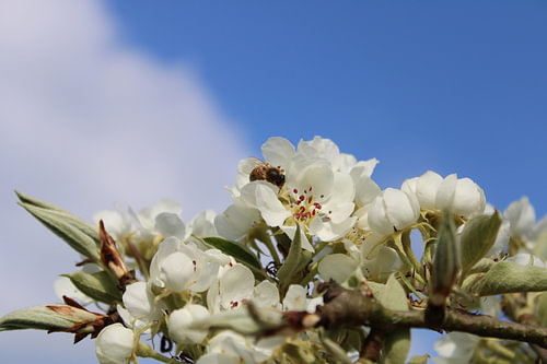 enjoying the spring tickle