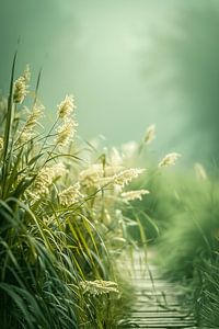 Der Sommer soll kommen