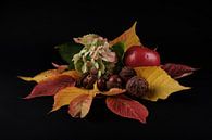 Herfst stilleven van Joke Beers-Blom thumbnail