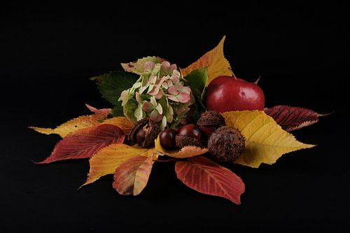 Herfst stilleven