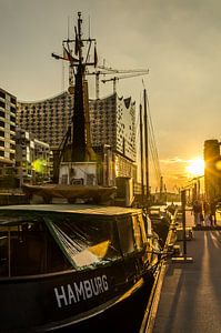 Schiff und Elbphilharmonie in der Hafencity bei Gegenlicht in Hamburg