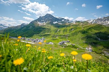 Blumige Aussicht auf die Lechtaler Alpen und Zürs