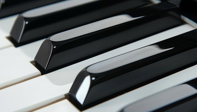 Piano toetsen panorama van TheXclusive Art