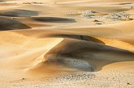 Dünen der Namib von Britta Kärcher Miniaturansicht