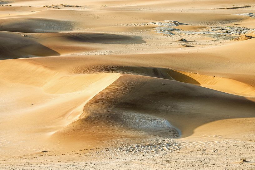 Dünen der Namib van Britta Kärcher