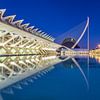 City of Arts and Sciences, Valencia - 2 van Tux Photography