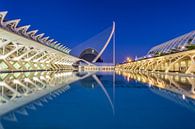 City of Arts and Sciences, Valencia - 2 van Tux Photography thumbnail