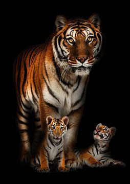 Een tijger met haar twee welpen van Bert Hooijer