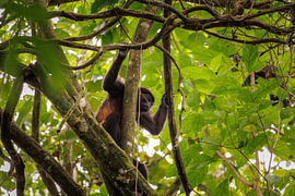 Costa Rica – wo Natur, Abenteuer und pure Schönheit aufeinander treffen