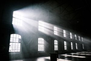 Das Sonnenlicht scheint durch die Fenster eines verlassenen Industriegebäudes von Vlindertuin Art