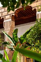 Moroccan garden with plants in the sunlight