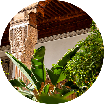 Marokkaanse tuin met planten in het zonlicht van Sandra Schmidt