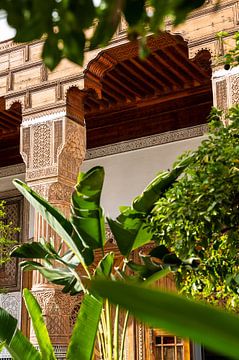 Moroccan garden with plants in the sunlight by Sandra Schmidt