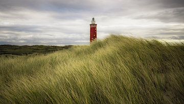 Leuchtturm in einer Landschaft von Jan Hermsen